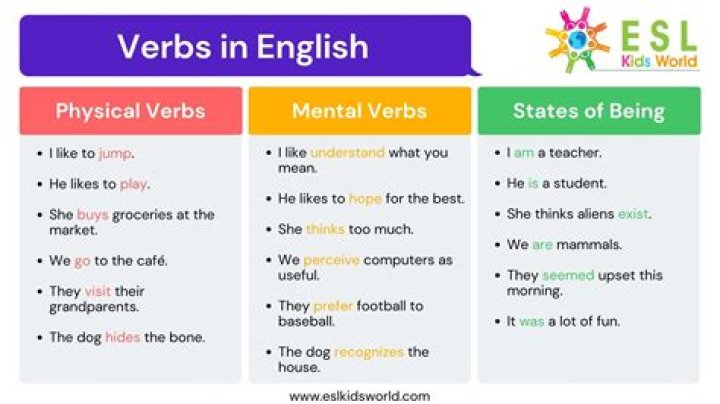 How to use verb with s in a sentence?