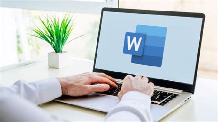 How to use word bunch in a sentence?
