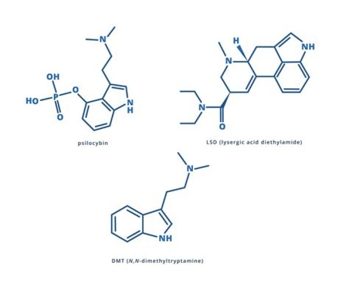 How was lysergic acid diethylamide discovered?