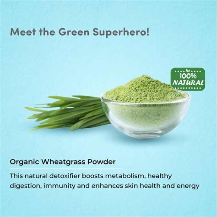 How wheatgrass powder is made?