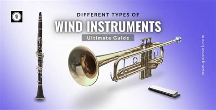 How wind instruments produce sound?