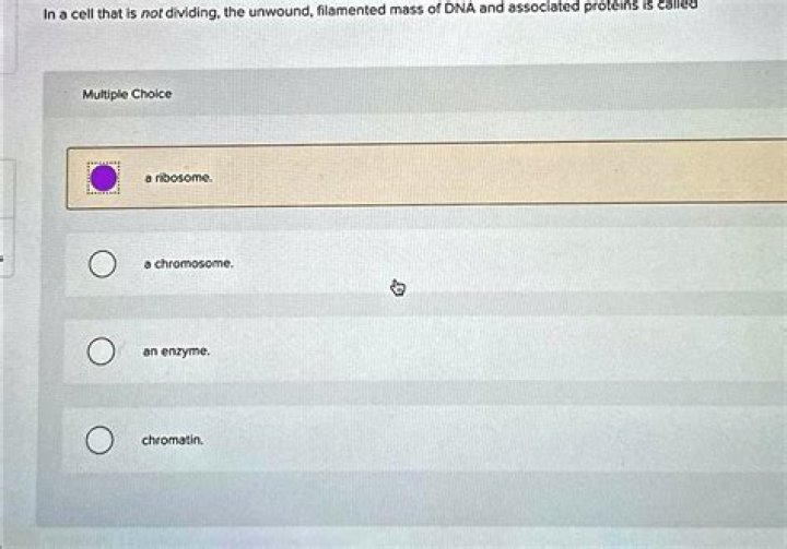 In a cell that is not dividing the unwound?