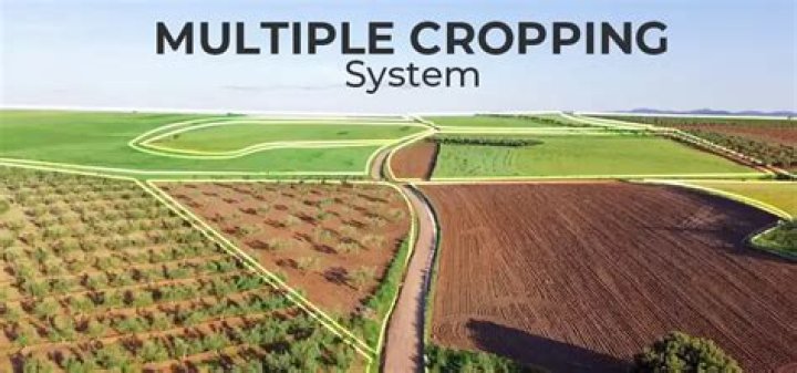 In a cropping system?