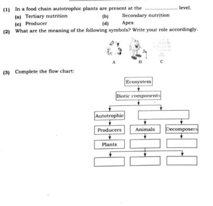 In a food chain autotrophic plants are present at the?