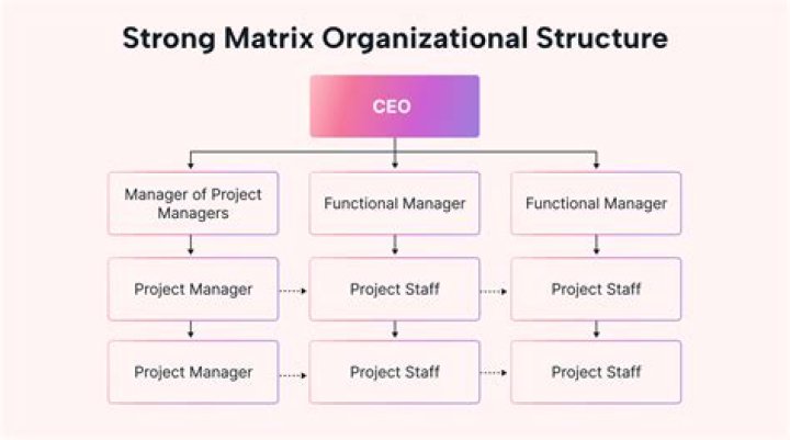 In a matrix organizational structure?
