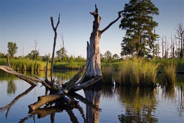 In at pamlico sound?