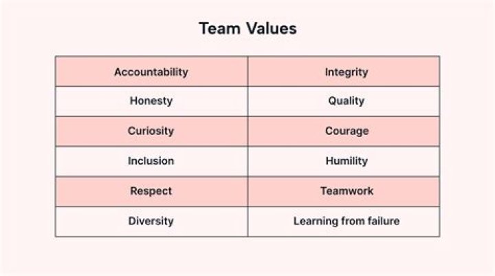 In cpi what are the values that underpin this course?