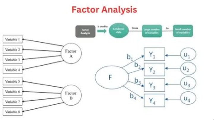 In factor analysis a factor is?