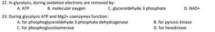 In glycolysis during oxidation electrons are removed by?