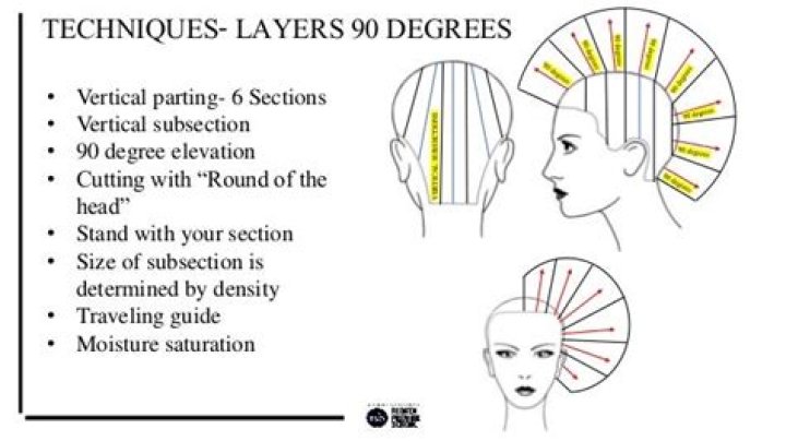 In haircutting a subsection of the hair is known as this?