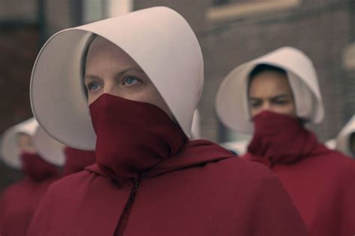 In handmaid's tale why are they infertile?