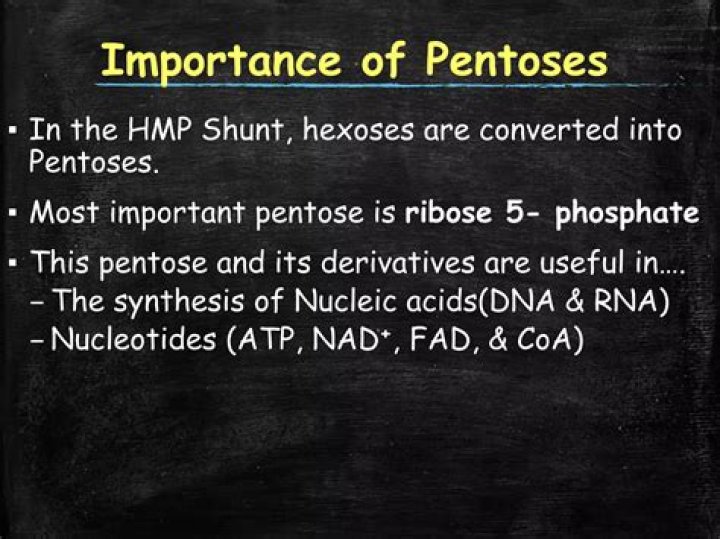 In hmp shunt hexoses are converted to?