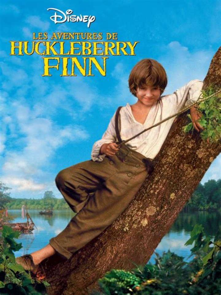 In huckleberry finn who is jim?
