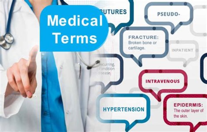 In medical terms what is stat?