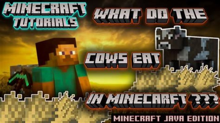 In minecraft what do creepers eat?