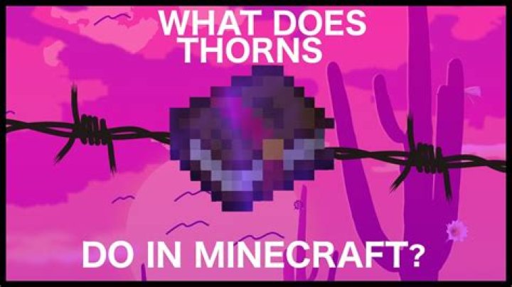 In minecraft what does thorns do?