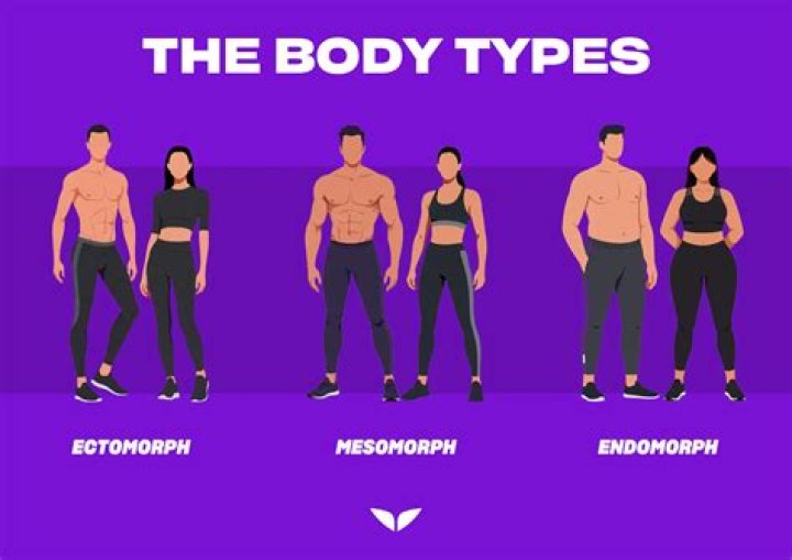 In psychology what is ectomorph?