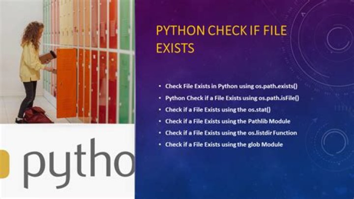 In python check version?
