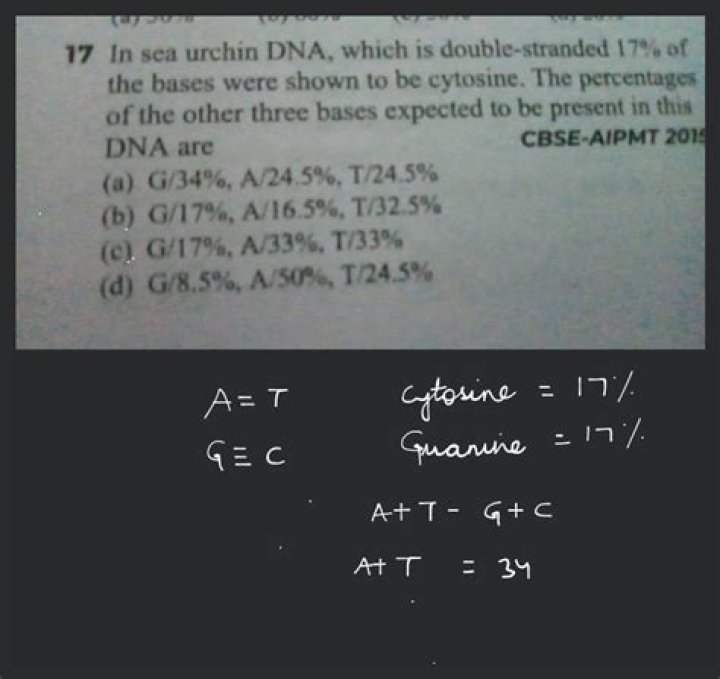 In sea urchin dna?