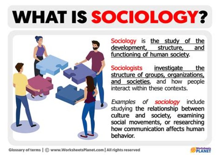 In sociology what is a theory?