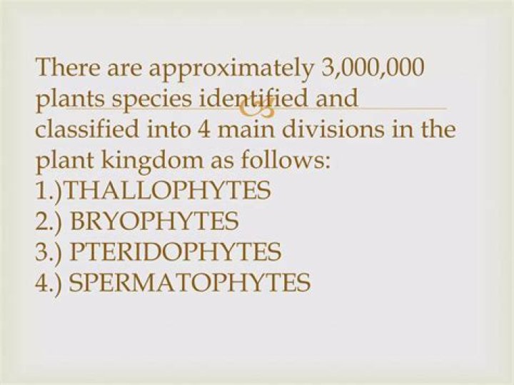 In thallophytes which type of meiosis is found?