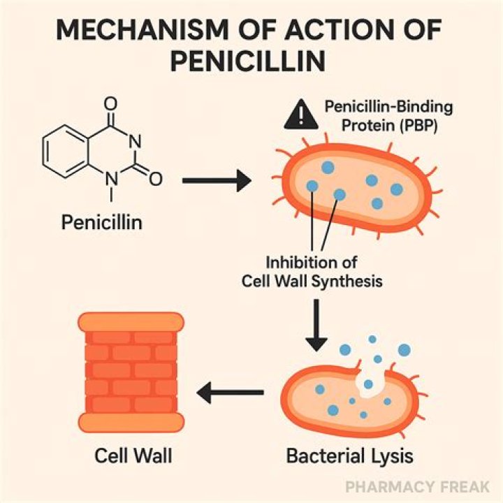 In the discovery of penicillin?