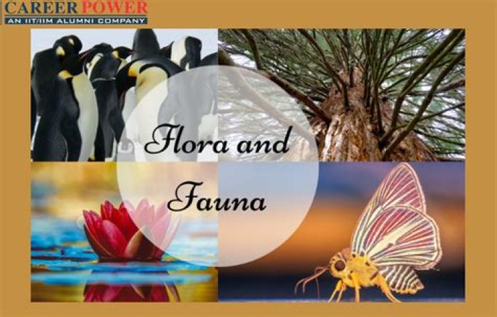 In the flora and fauna meaning?