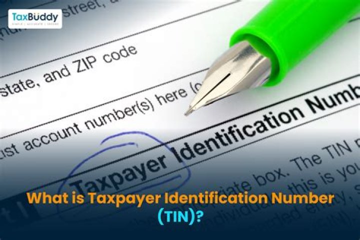 In the individual taxpayer identification number?