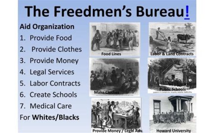 In what area was the freedmen's bureau most successful?