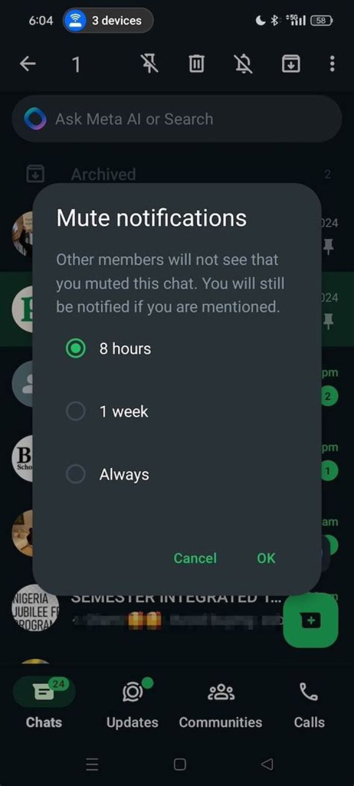 In whatsapp what does mute notifications mean?
