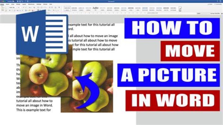 In word how to move a picture?