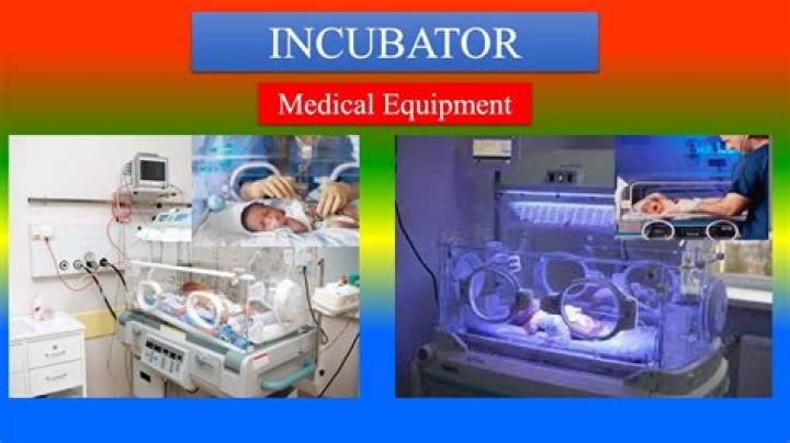 Incubate in a sentence?
