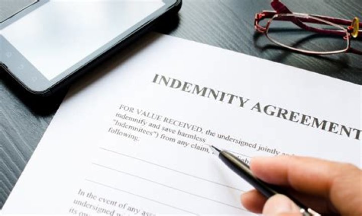Indemnifies meaning in law?