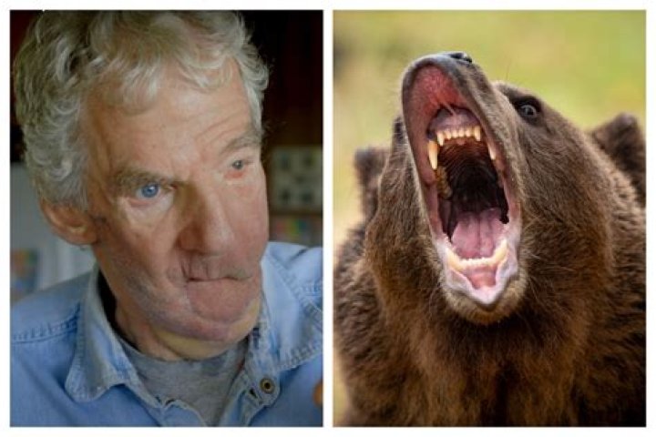 Is a bear with a sore head?