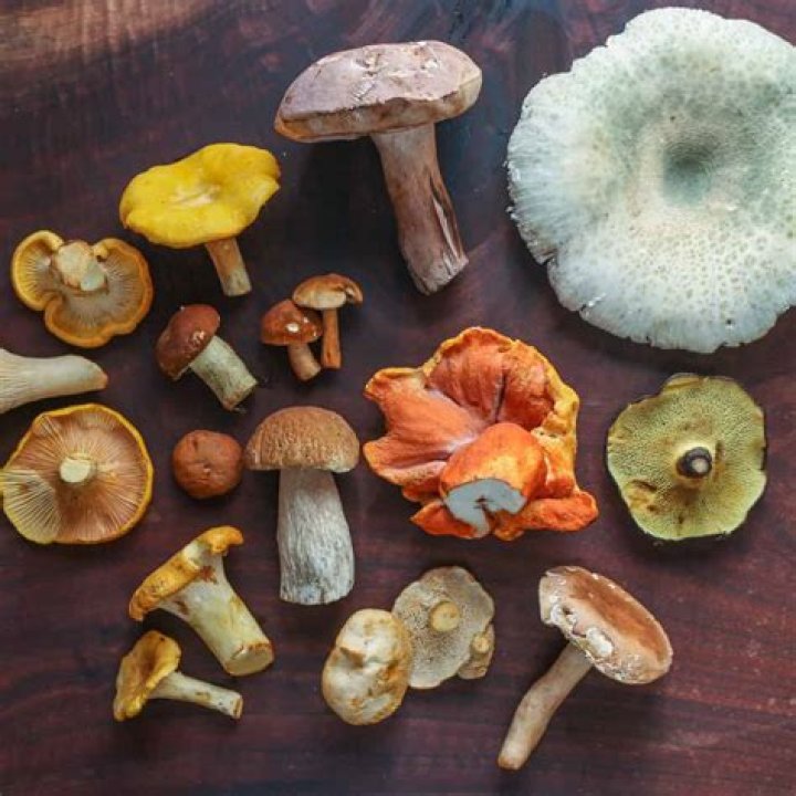 Is a ceriman edible?