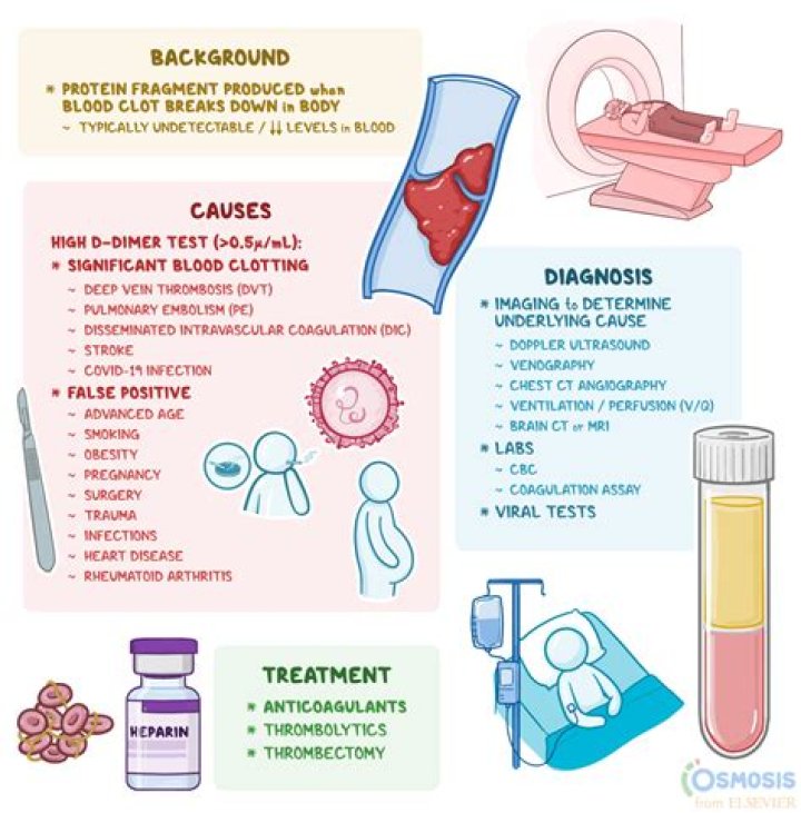 Is a d dimer test a blood test?