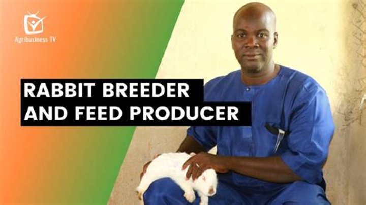 Is a rabbit a producer?