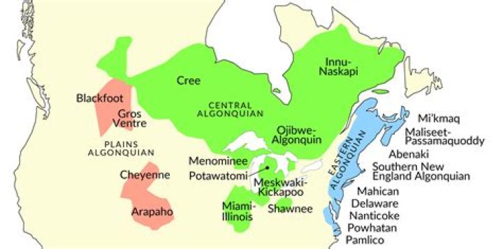 Is algonquin a tribe?