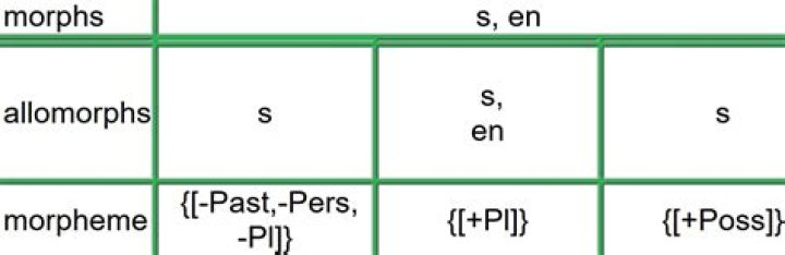 Is allomorphs a morpheme?