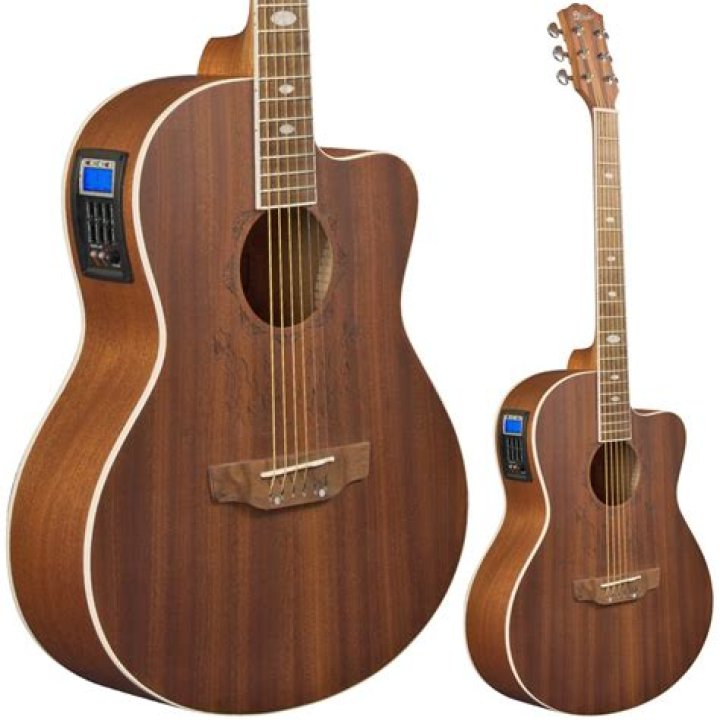 Is an electro acoustic guitar?