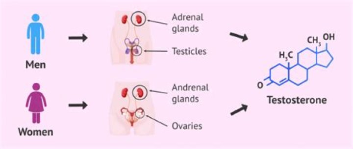 Is androgen good or bad?