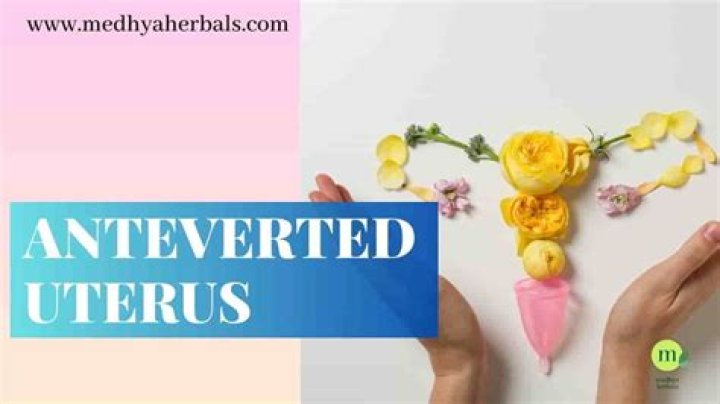 Is anteverted uterus good?