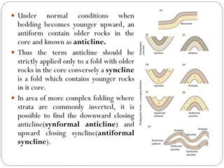 Is anticline a downwarped fold?