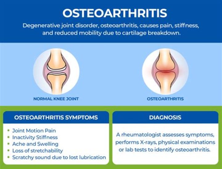Is arthrosis the same as osteoarthritis?