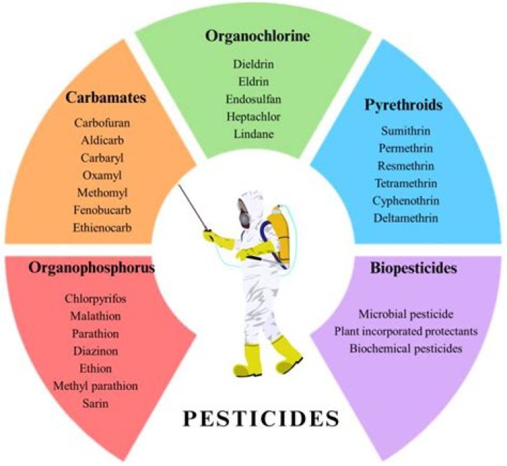 Is biocides harmful to humans?