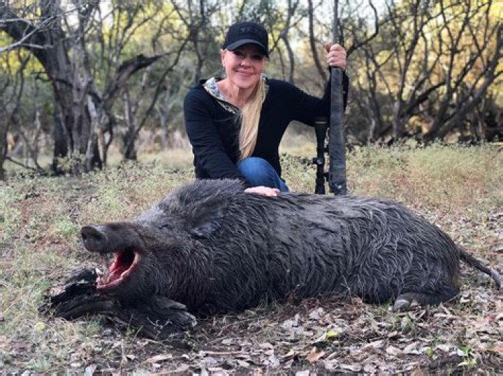 Is boar hunting legal?
