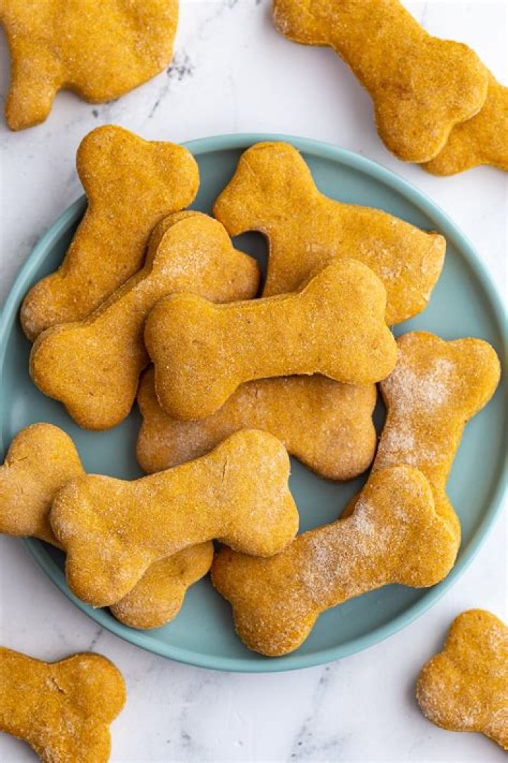 Is bute ok for dogs?