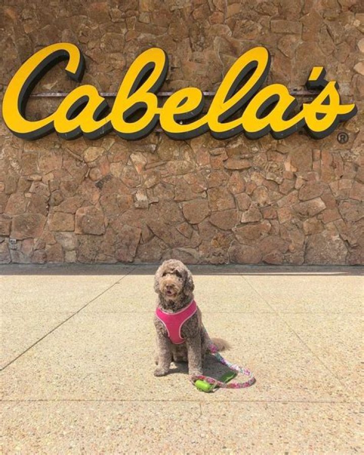Is cabela's dog friendly?
