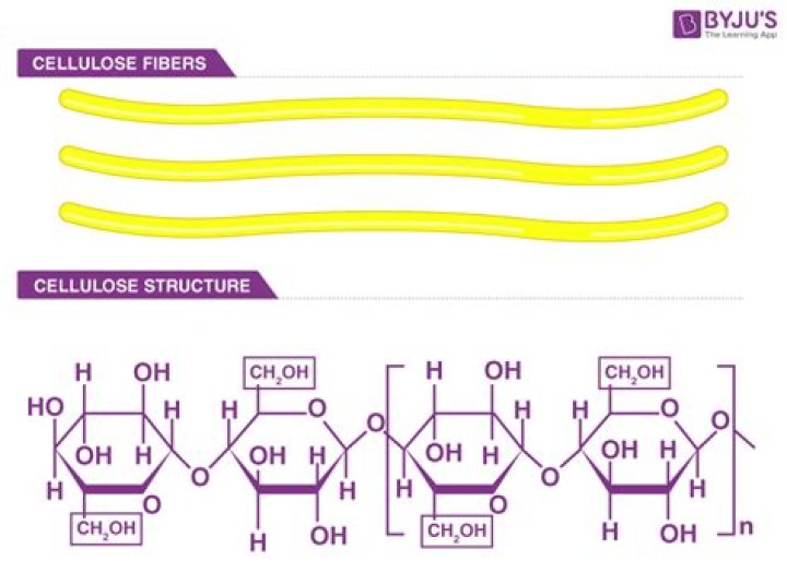Is cellulose found in fruit?