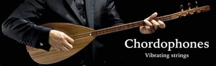 Is charango a chordophone?